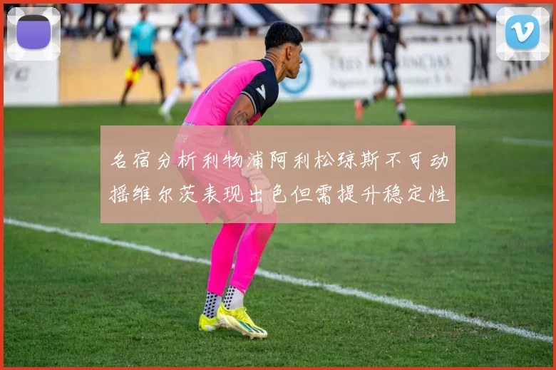 名宿分析利物浦阿利松琼斯不可动摇维尔茨表现出色但需提升稳定性